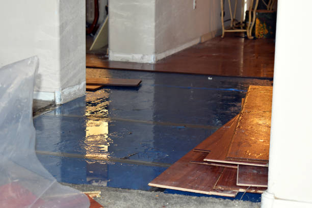 Professional Basement Flood Cleanup technician working in Mulberry, NC